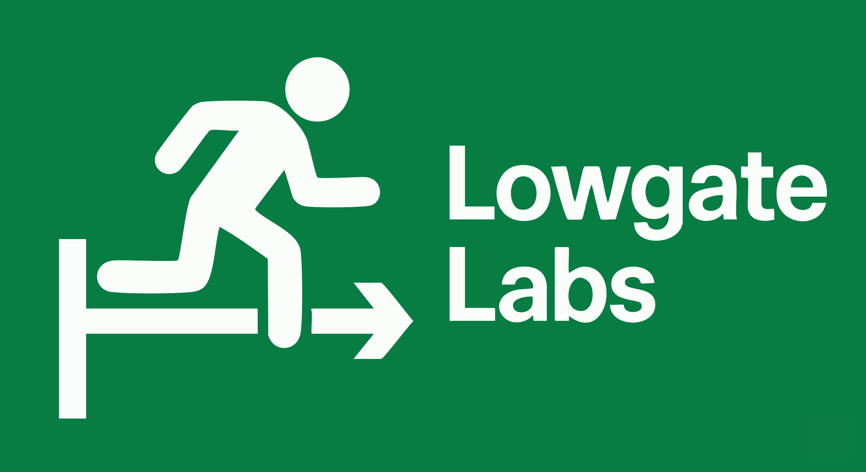 Lowgate Labs Logo